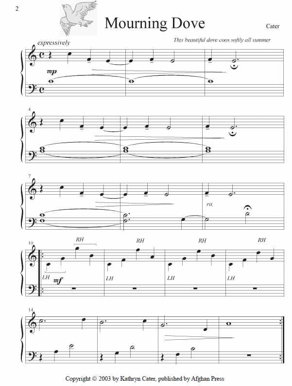Soaring Strings - Kathryn Cater