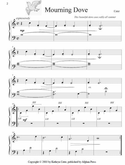 Soaring Strings - Kathryn Cater